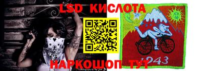 наркотики Кингисепп