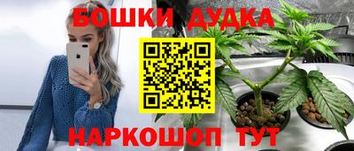 наркотики Кингисепп