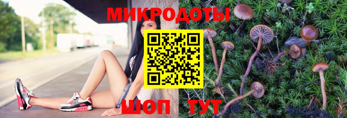 Галлюциногенные грибы мухоморы  Вход с VPN  Урус-Мартан 