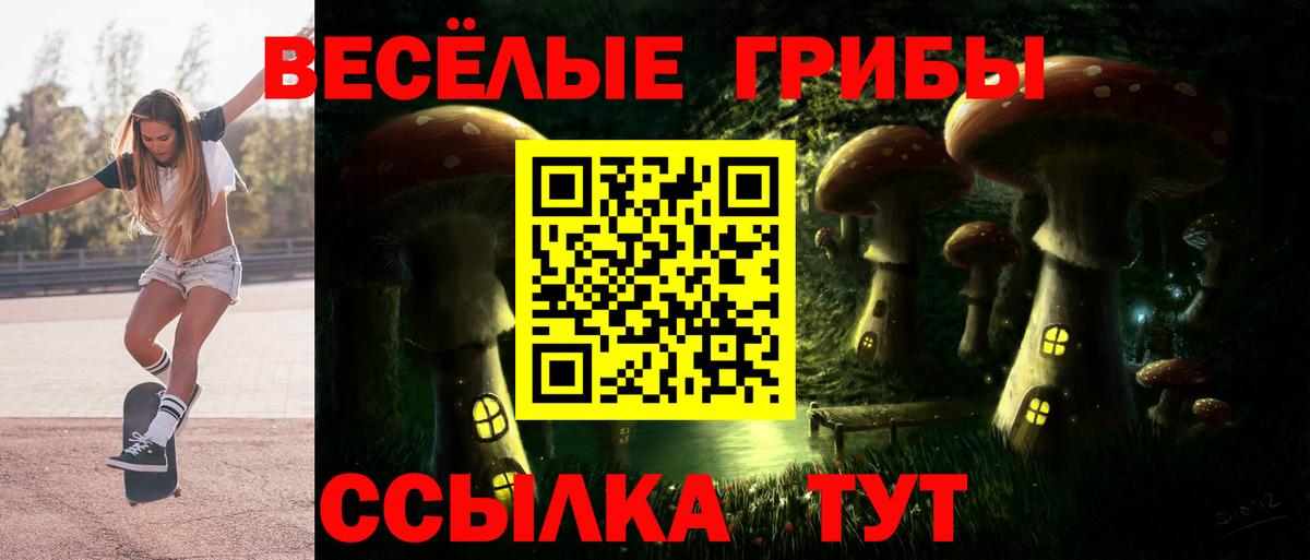 Псилоцибиновые грибы прущие грибы Урус-Мартан